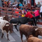 Un herido y varios contusionados en el primer encierro de las Ferias y Fiestas de la Antigua de Guadalajara, un encierro muy rápido y sin aglomeraciones