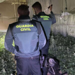 Detenido en Cabanillas del Campo un hombre por cultivar marihuana en un chalé en Robledillo de Mohernando: también tenía un enganche ilegal al suministro eléctrico que a veces dejaba sin luz al propio municipio