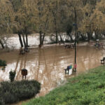 El Ayuntamiento de Guadalajara mantiene la emergencia en ‘umbral rojo’ por la previsible crecida del cauce del Henares en los próximos días por los desagües de los embalses